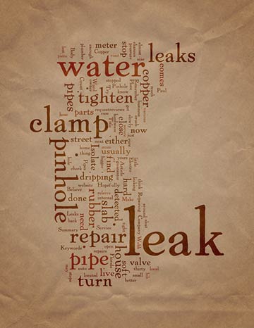 Top Household Leak to Save Water From Top Household Leak to Save Water From