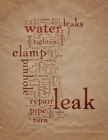 Top Household Leak to Save Water From