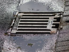 Water Leak Hawthorn East